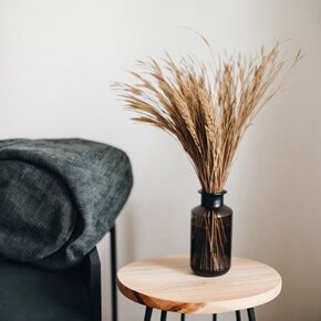 Instagram Image